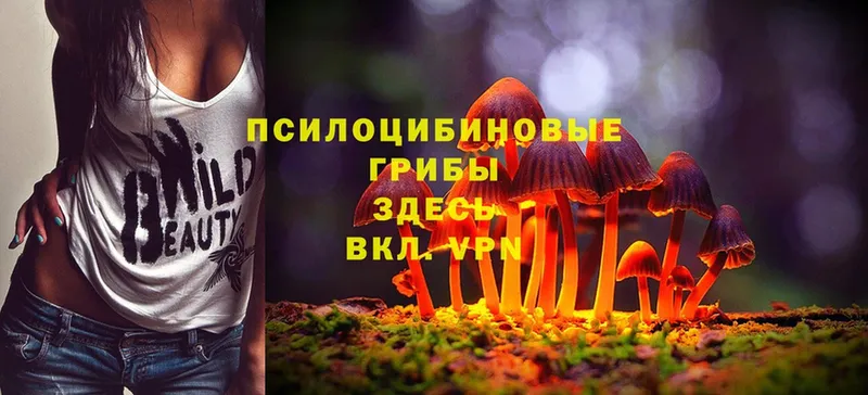 Галлюциногенные грибы Psilocybe  продажа наркотиков  площадка Telegram  Кедровый 